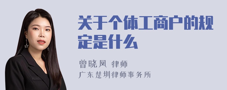 关于个体工商户的规定是什么