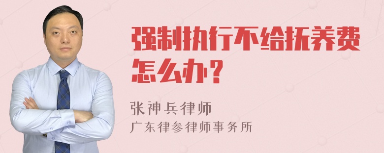 强制执行不给抚养费怎么办？