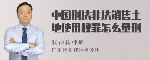 中国刑法非法销售土地使用权罪怎么量刑