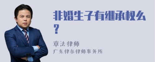 非婚生子有继承权么？