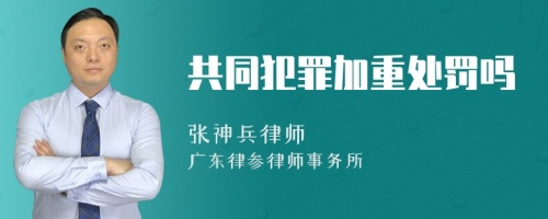 共同犯罪加重处罚吗