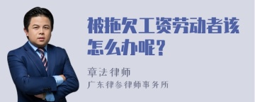 被拖欠工资劳动者该怎么办呢？