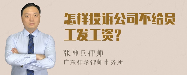 怎样投诉公司不给员工发工资？