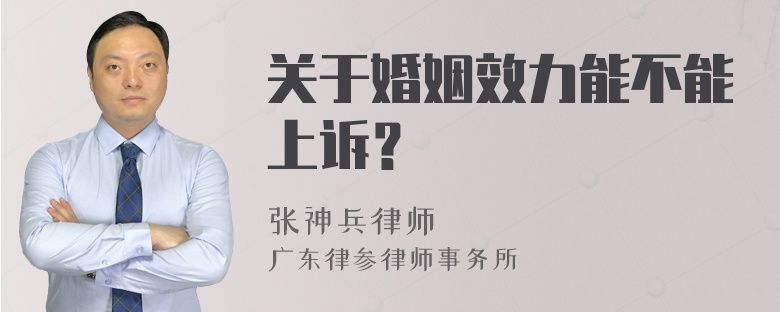 关于婚姻效力能不能上诉？