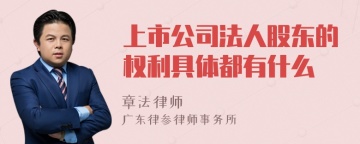 上市公司法人股东的权利具体都有什么