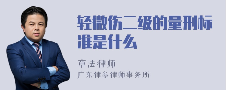 轻微伤二级的量刑标准是什么