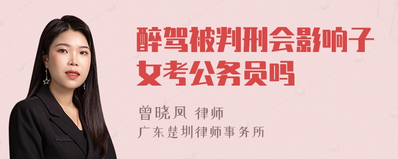 醉驾被判刑会影响子女考公务员吗