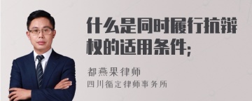 什么是同时履行抗辩权的适用条件；