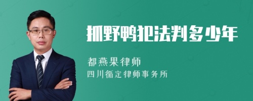 抓野鸭犯法判多少年