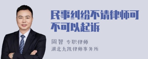 民事纠纷不请律师可不可以起诉