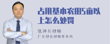 占用基本农田5亩以上怎么处罚