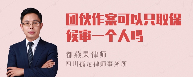 团伙作案可以只取保候审一个人吗