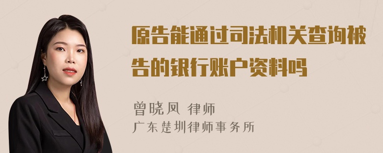 原告能通过司法机关查询被告的银行账户资料吗