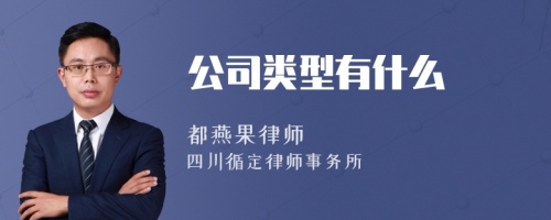 公司类型有什么