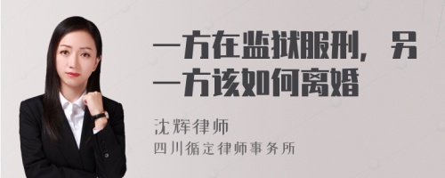 一方在监狱服刑，另一方该如何离婚