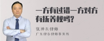 一方有过错一方对方有抚养权吗?