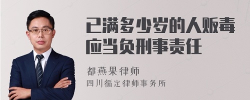 已满多少岁的人贩毒应当负刑事责任