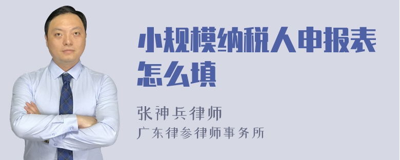 小规模纳税人申报表怎么填