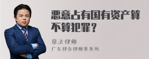 恶意占有国有资产算不算犯罪？