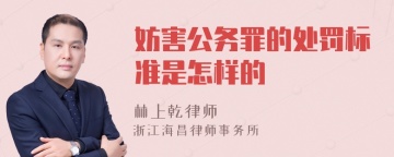 妨害公务罪的处罚标准是怎样的