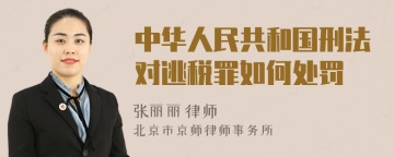 中华人民共和国刑法对逃税罪如何处罚