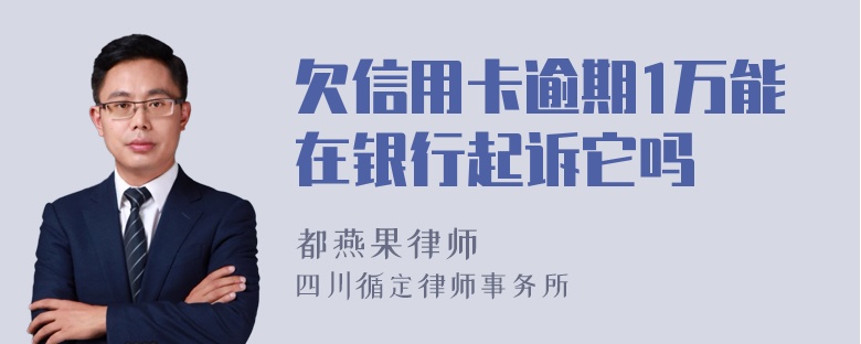 欠信用卡逾期1万能在银行起诉它吗