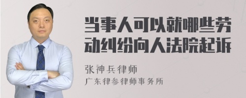 当事人可以就哪些劳动纠纷向人法院起诉