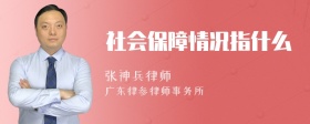 社会保障情况指什么