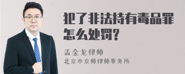 犯了非法持有毒品罪怎么处罚?