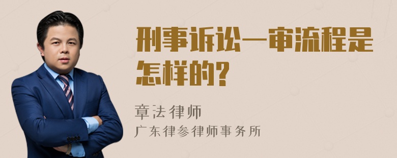 刑事诉讼一审流程是怎样的?