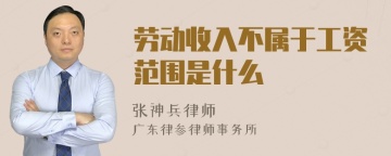 劳动收入不属于工资范围是什么