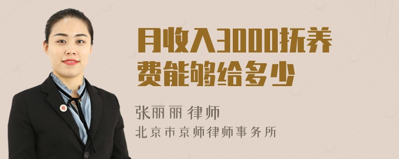 月收入3000抚养费能够给多少