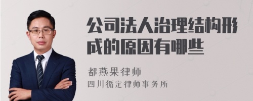 公司法人治理结构形成的原因有哪些