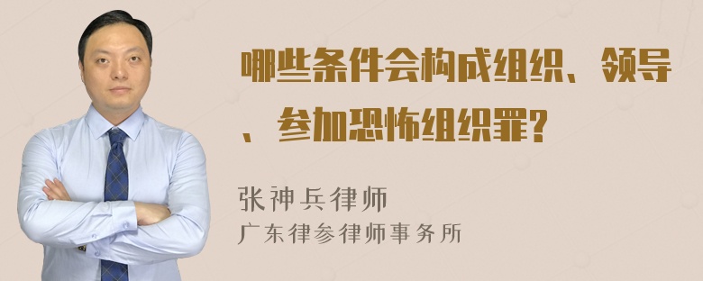 哪些条件会构成组织、领导、参加恐怖组织罪?