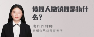 债权人撤销权是指什么？