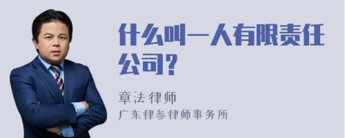 什么叫一人有限责任公司？