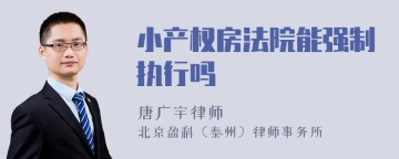 小产权房法院能强制执行吗