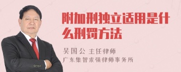 附加刑独立适用是什么刑罚方法