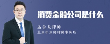 消费金融公司是什么