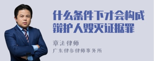 什么条件下才会构成辩护人毁灭证据罪