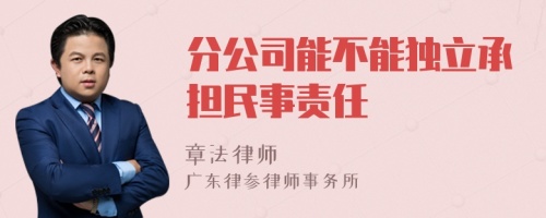 分公司能不能独立承担民事责任