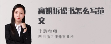 离婚诉讼书怎么写范文