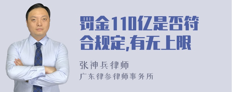 罚金110亿是否符合规定,有无上限