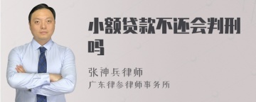 小额贷款不还会判刑吗