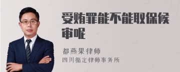 受贿罪能不能取保候审呢