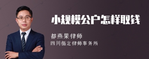 小规模公户怎样取钱