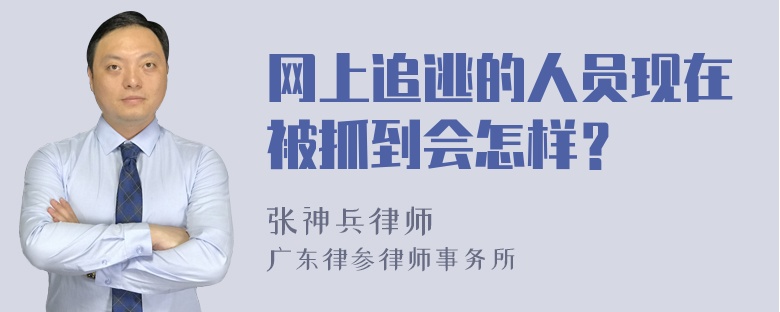 网上追逃的人员现在被抓到会怎样？