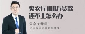 欠农行100万贷款还不上怎么办