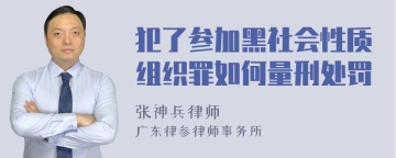 犯了参加黑社会性质组织罪如何量刑处罚