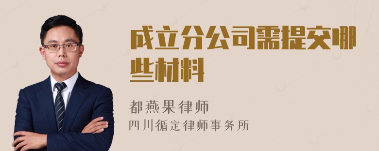 成立分公司需提交哪些材料